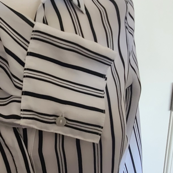 Sheer Black and White Striped Button Down Blouse - Picture 3 of 4
